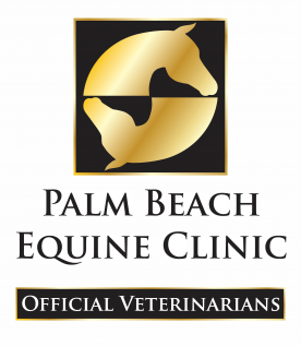 Palm Beach Equine Clinic