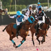 Gladiator Polo™