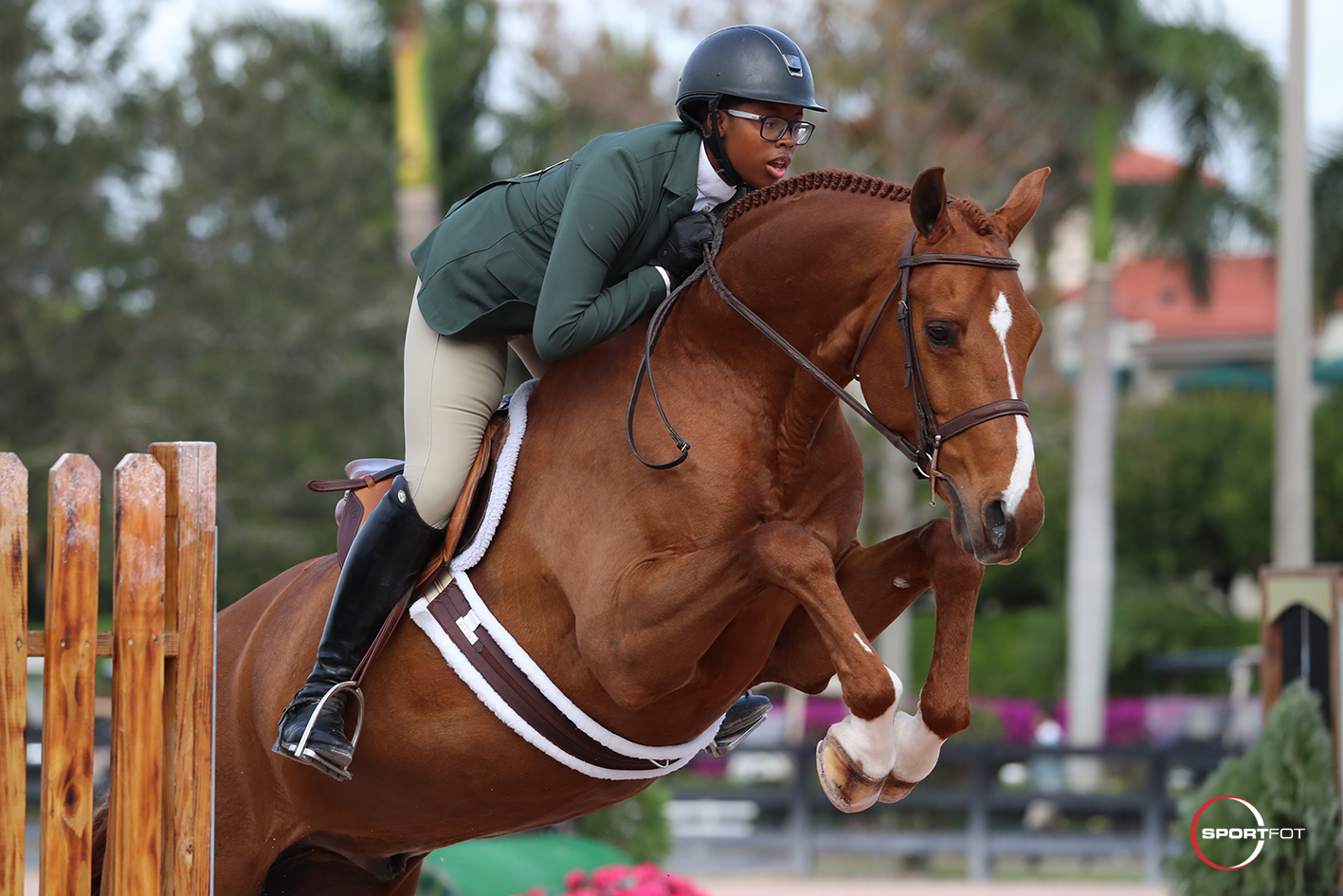 chestnut horse jumping high