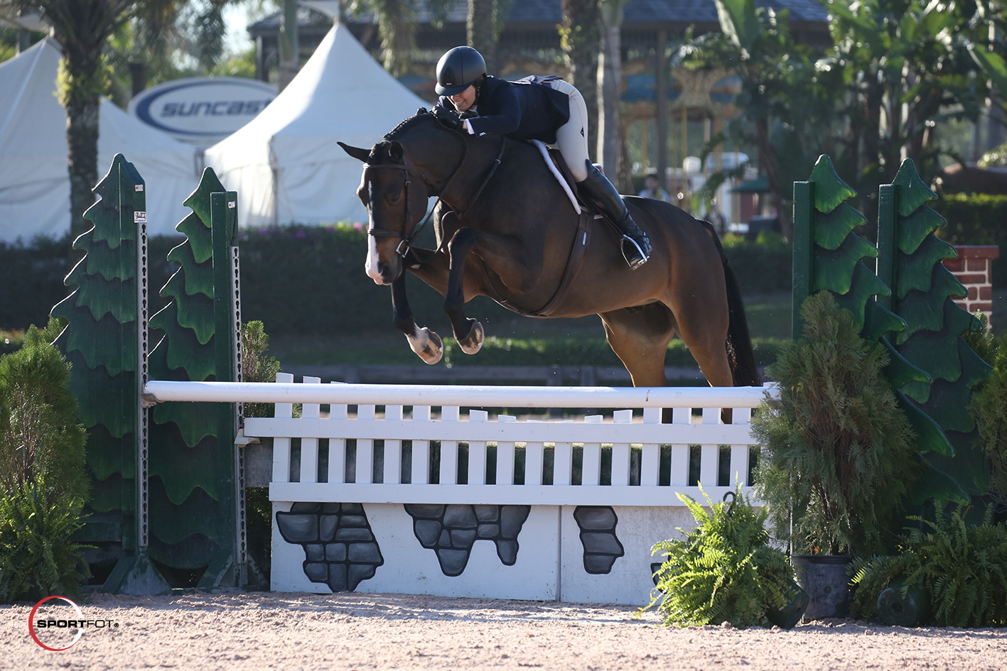 14/02/2018 ; Wellington FL ; Winter Equestrian Festival - Week 6