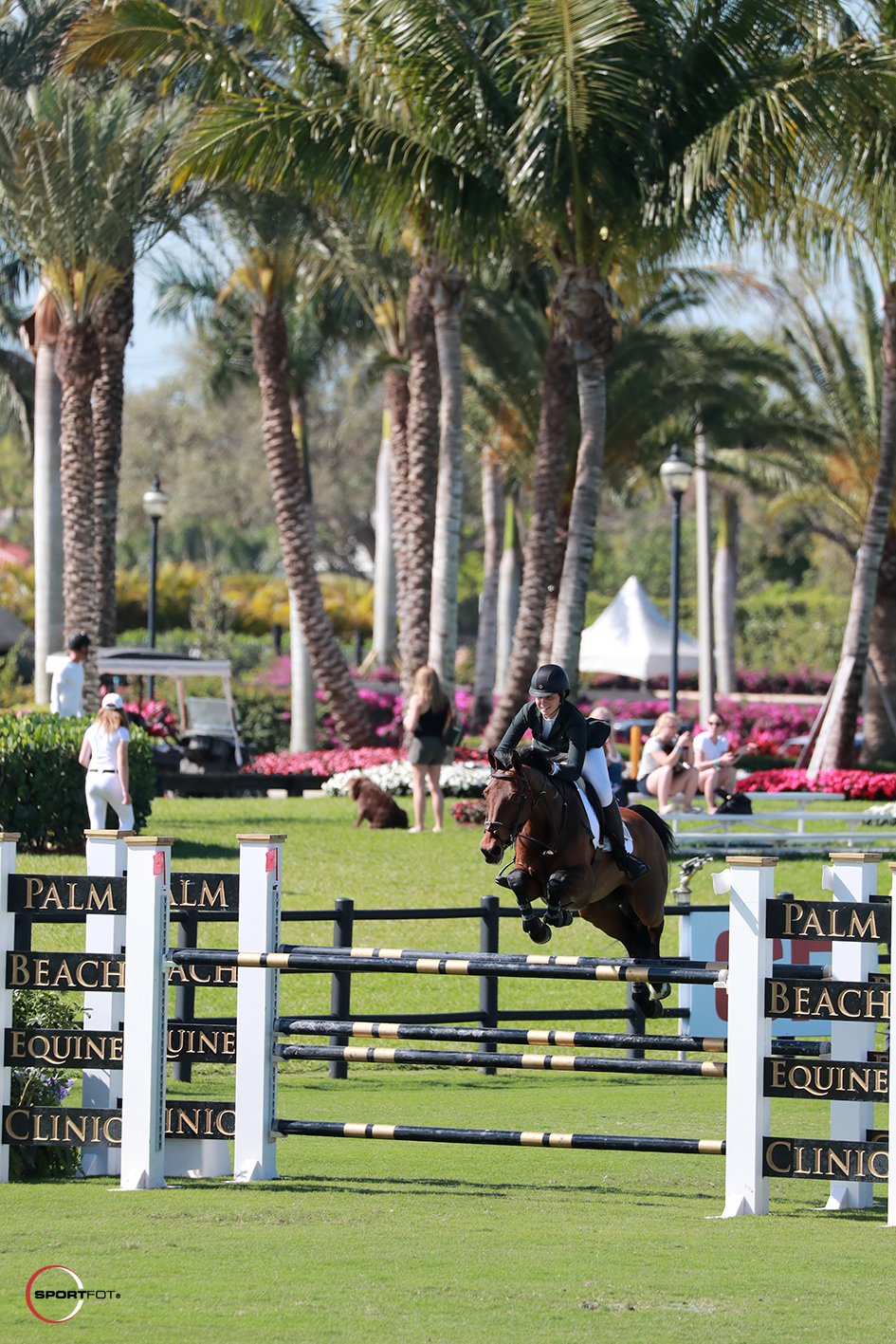 14/02/2018 ; Wellington FL ; Winter Equestrian Festival - Week 6