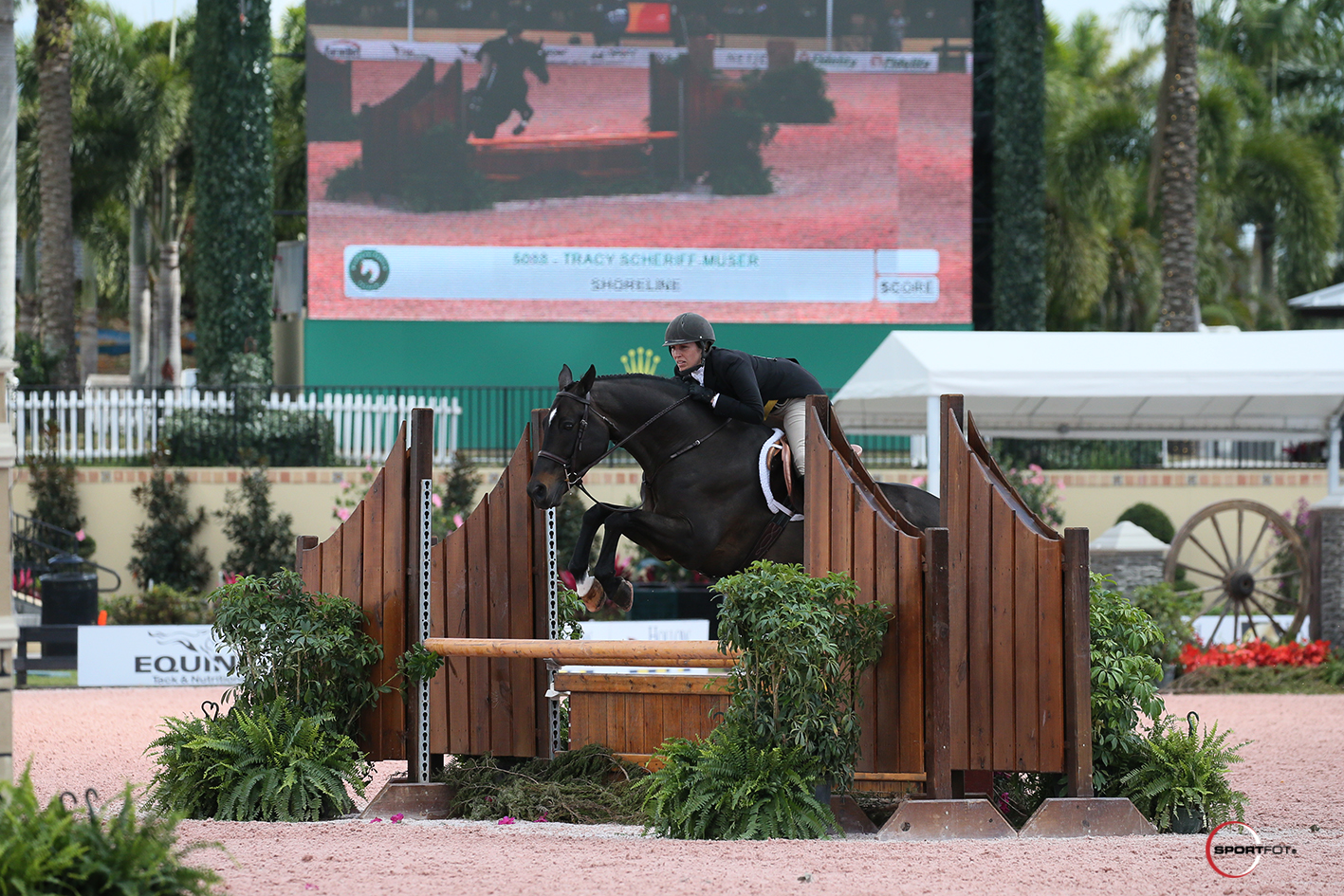 14/02/2018 ; Wellington FL ; Winter Equestrian Festival - Week 6