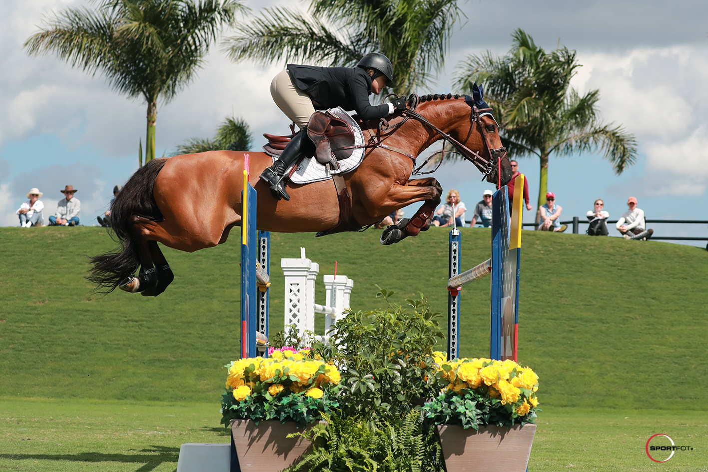 14/02/2018 ; Wellington FL ; Winter Equestrian Festival - Week 6