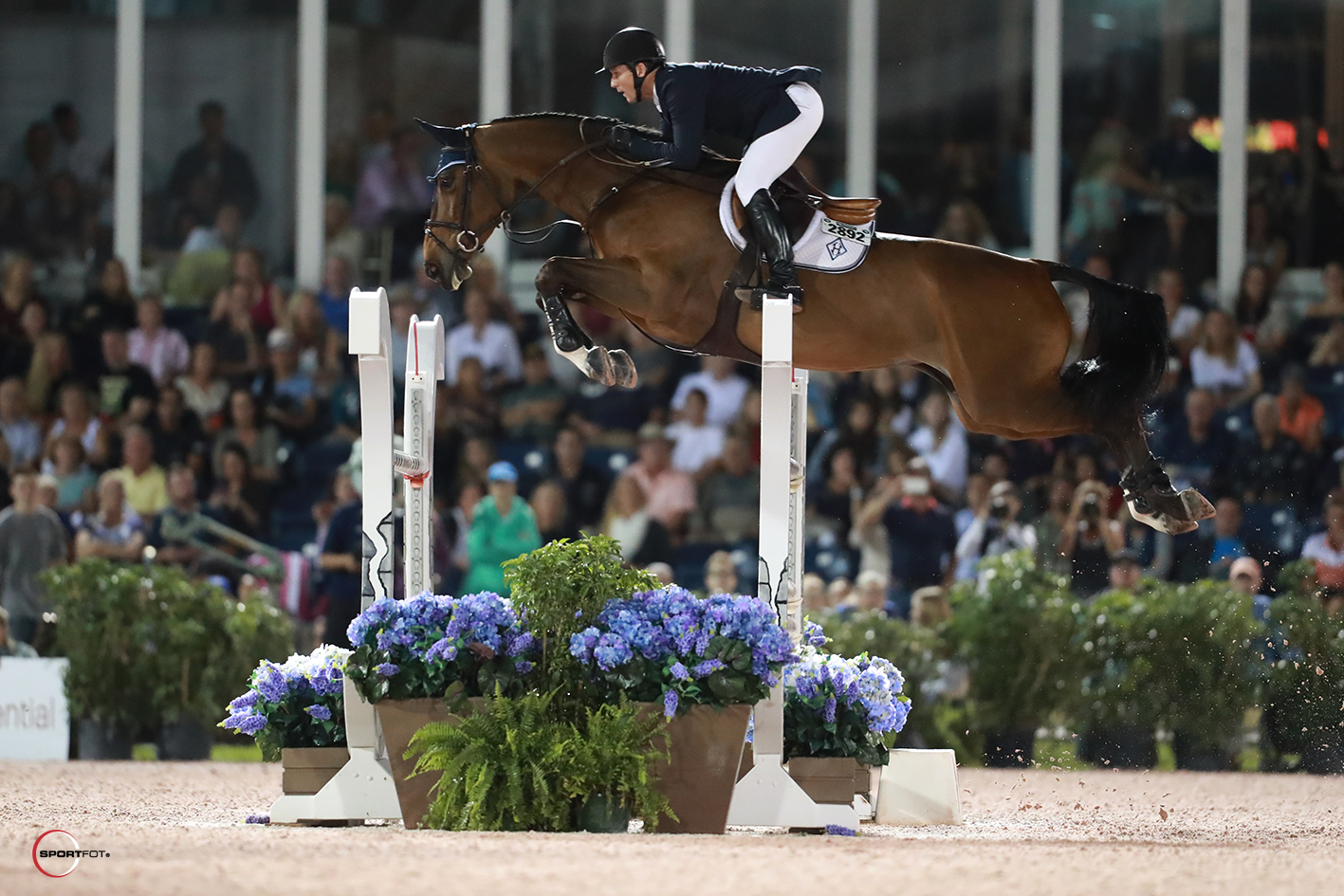 McLain Ward and HH Azur 309_8417 Sportfot