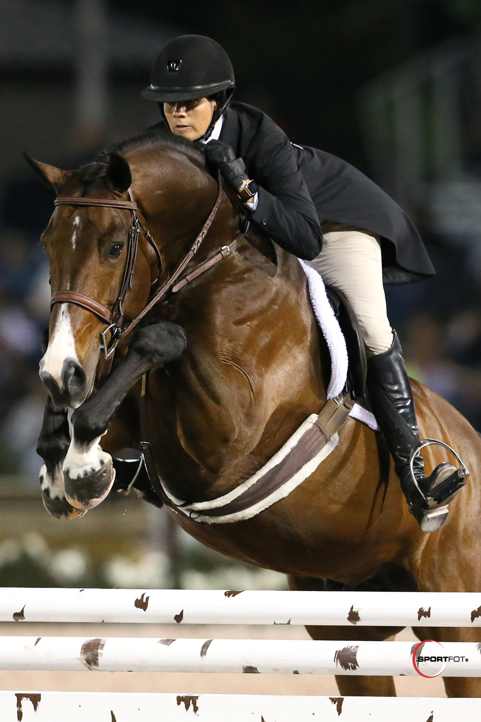 Bestil Opbevares i køleskab Bordenden Equestrian Sport Productions