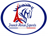 French Horse Exports