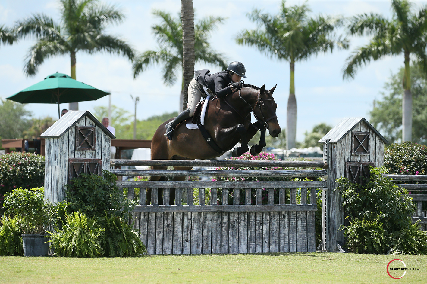27/03/2019 ; Wellington FL ; Winter Equestrian Festival - Week 12