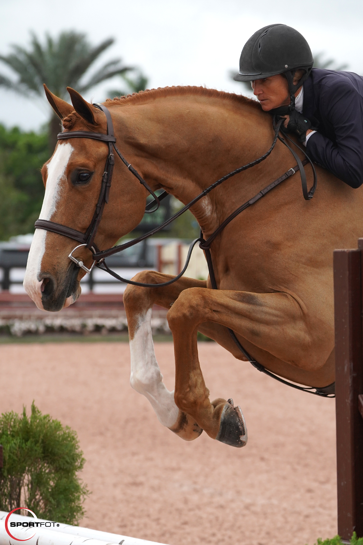 Havens Schatt and Highlander by Sportfot 529_5192