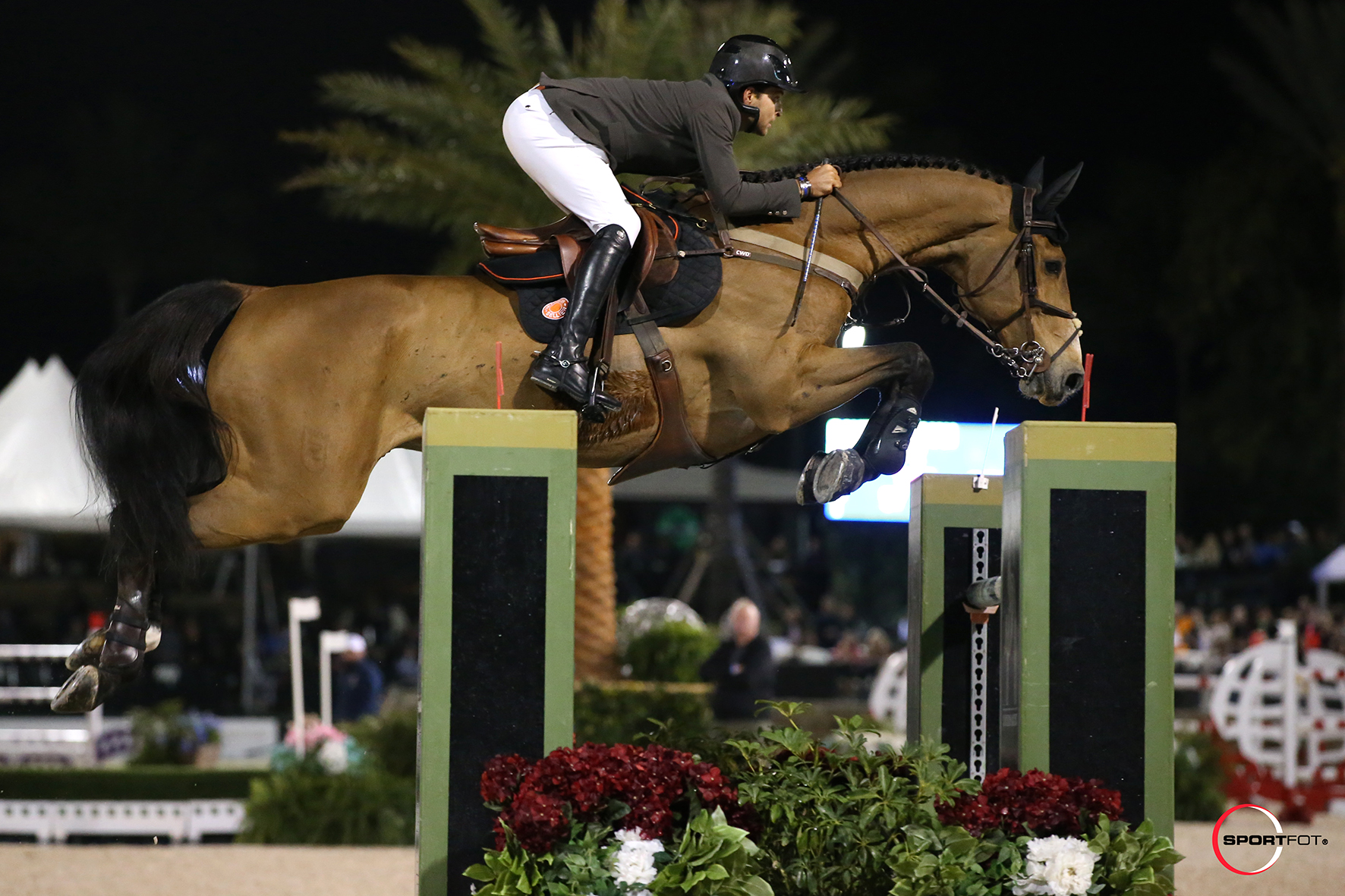 Daniel Bluman and Ladriano Z 533_6897 Sportfot