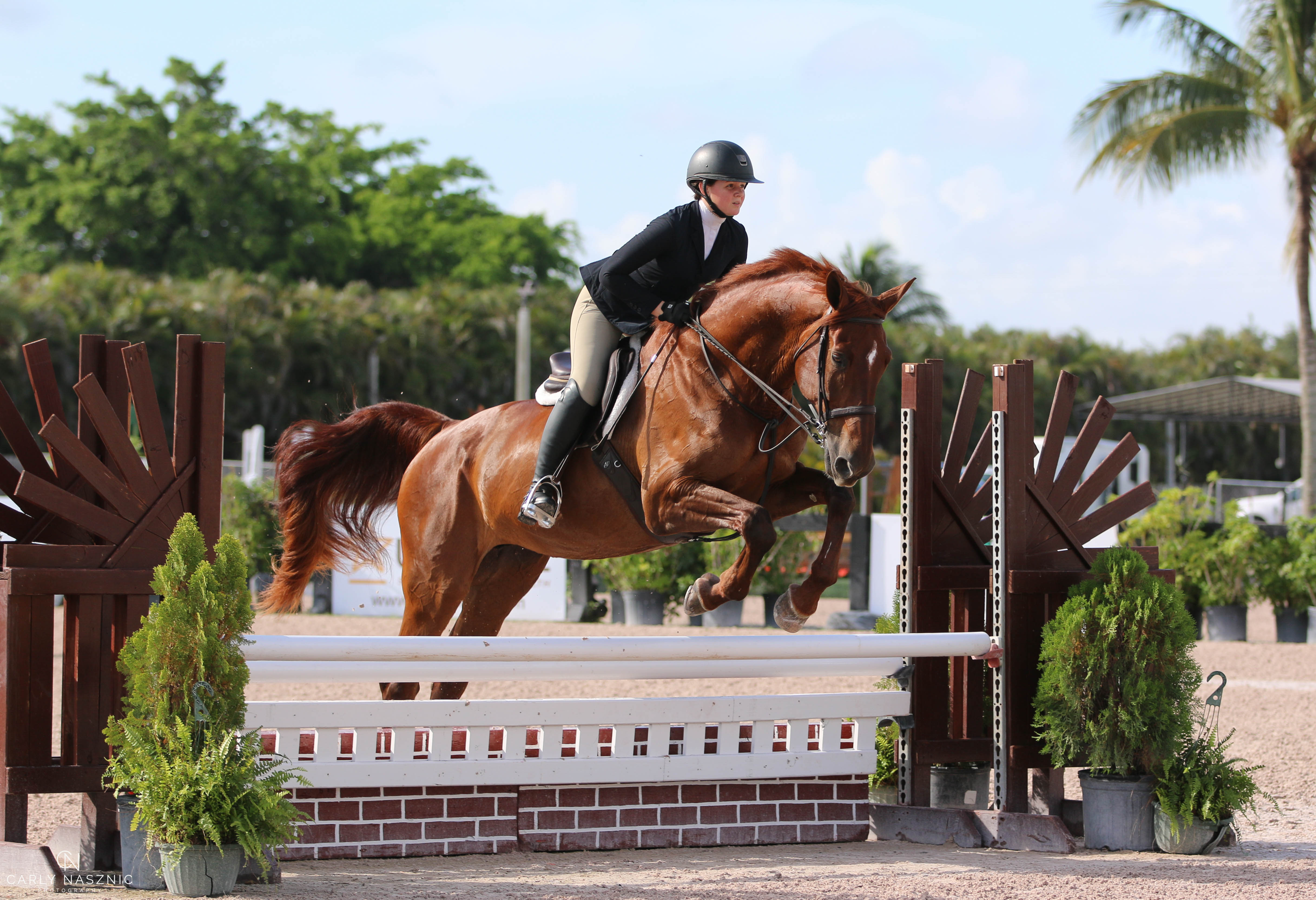 12-14 Eq Champion