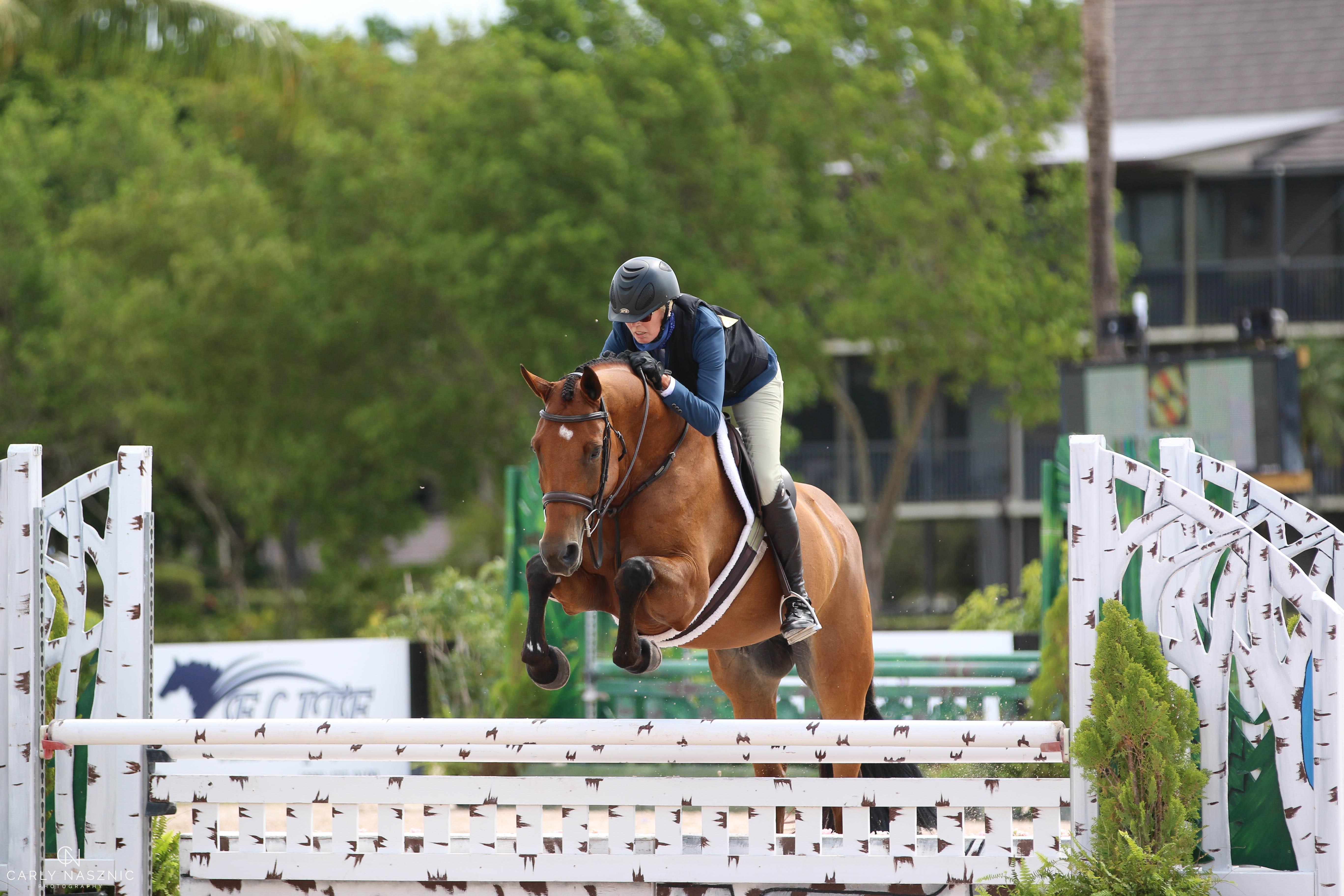 USHJA 3FT Champion
