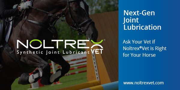 Sponsor_600x300_banner_NoltrexVet