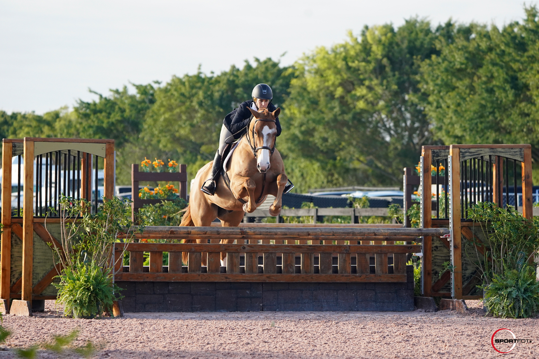 Julia Gildea and Tristram 7 58307022 Sportfot
