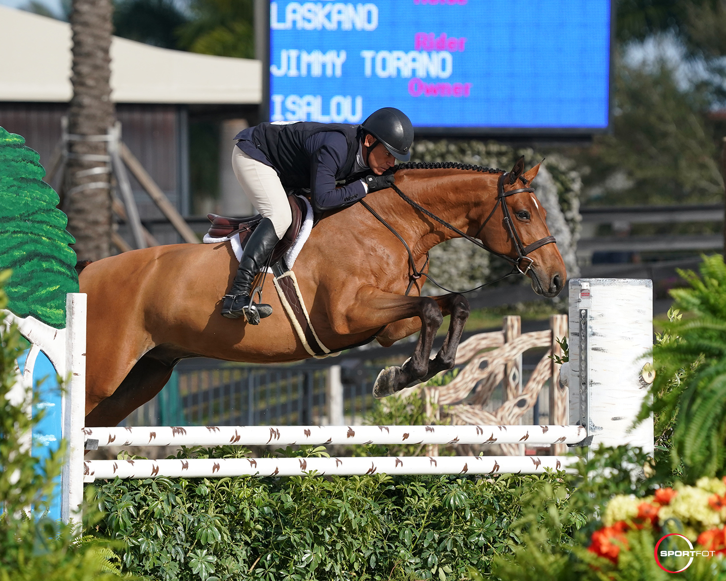 Scott Stewart and Catch Me Among First Champions Crowned at WEF WCHR ...