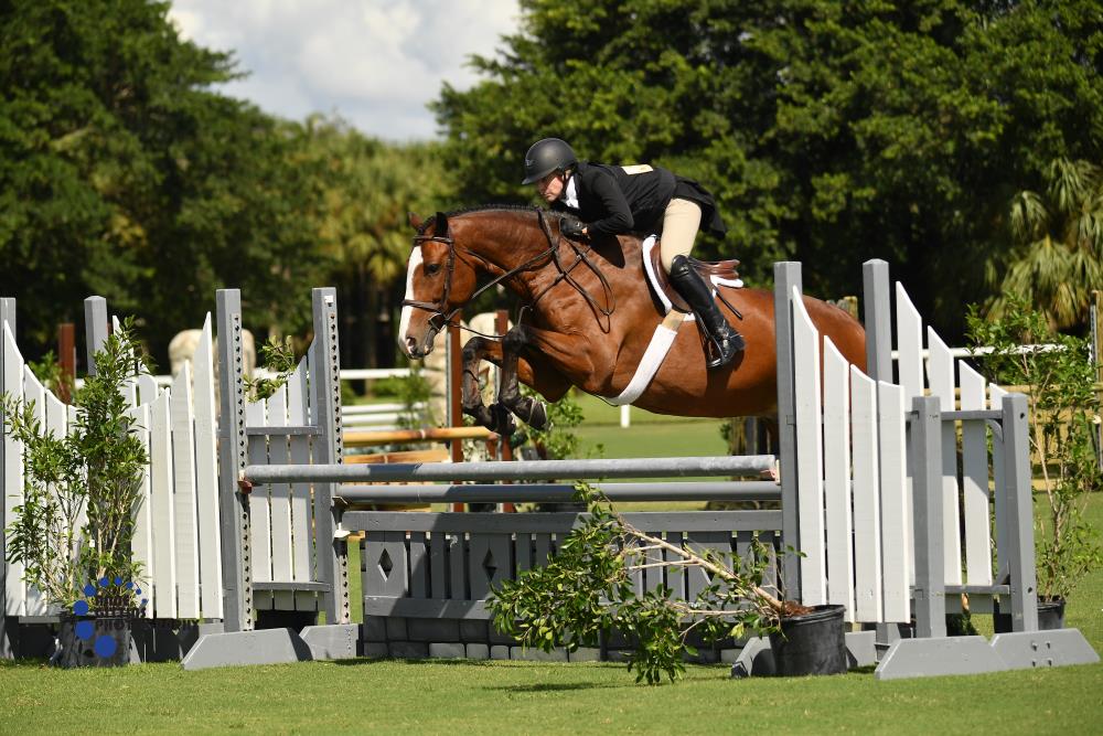 Jennifer Speisman and Totality earned a total score of 178 to win the $2,500 USHJA National Hunter Derby. ©Anne Gittins Photography