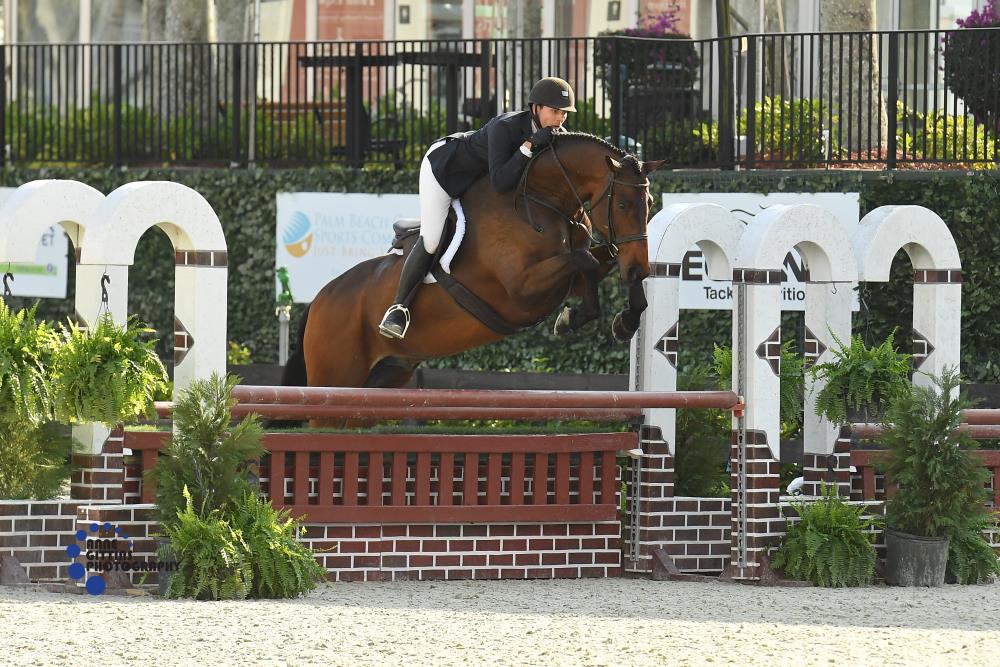 Geoffrey Hesslink and Mon Tresor won the  $1,500 USHJA National Hunter Derby, Presented by Vortex Equine Transport. ©Anne Gittins Photography