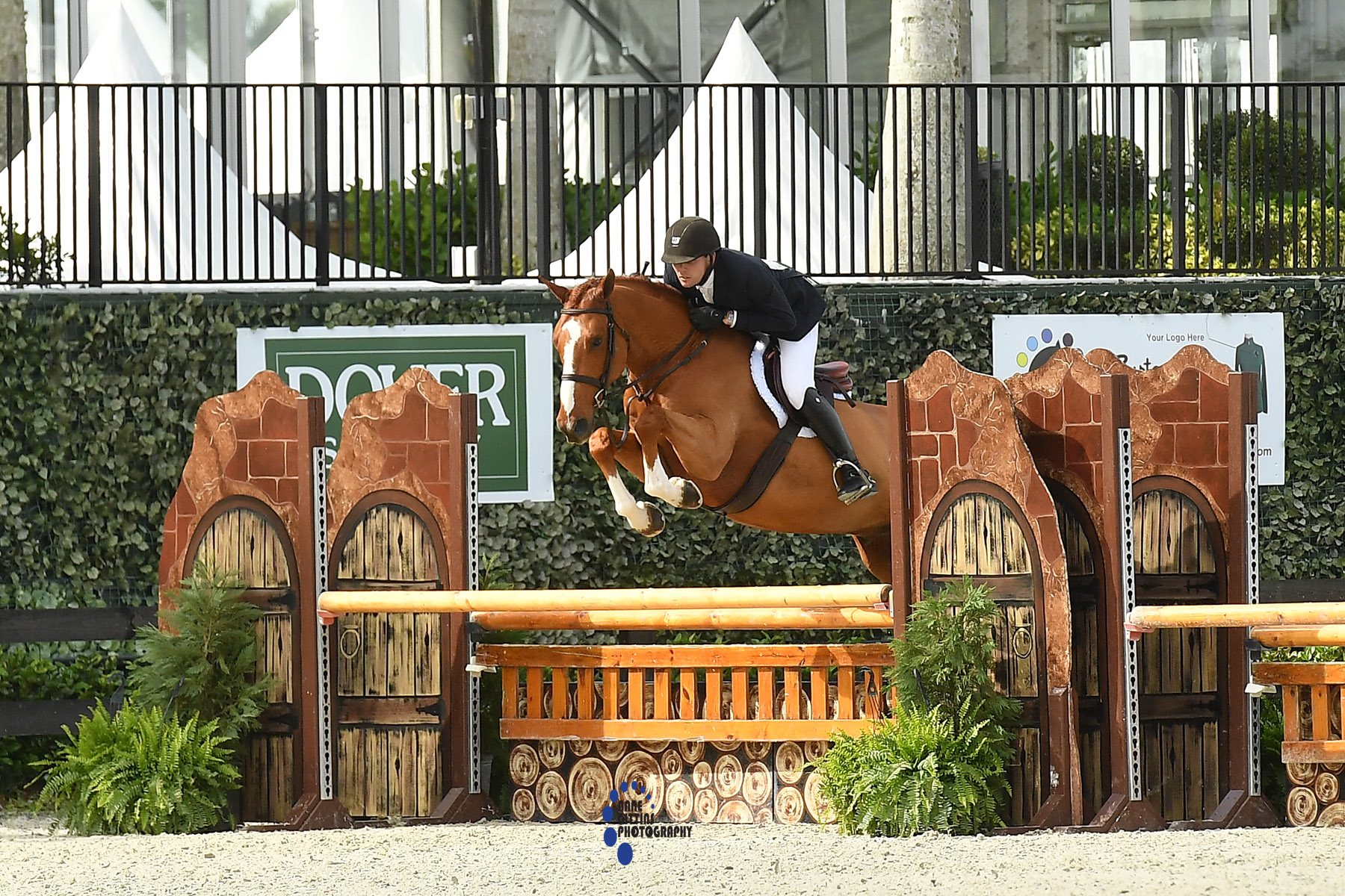 Geoffrey Hesslink and Chivalry ©Anne Gittins Photography