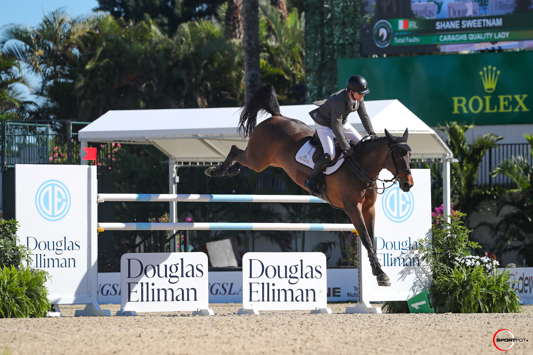 Shane Sweetnam and Caraghs Quality Lady jumping 723_5055 sportfot