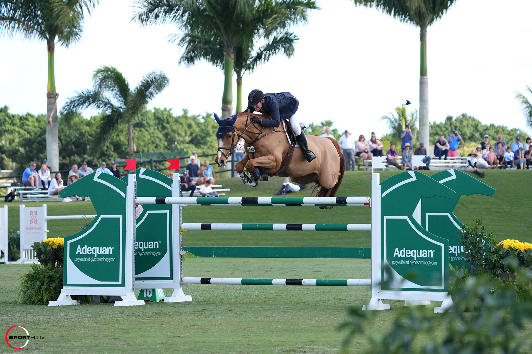 mclain ward and contagious jumping 741_5384 sportfot
