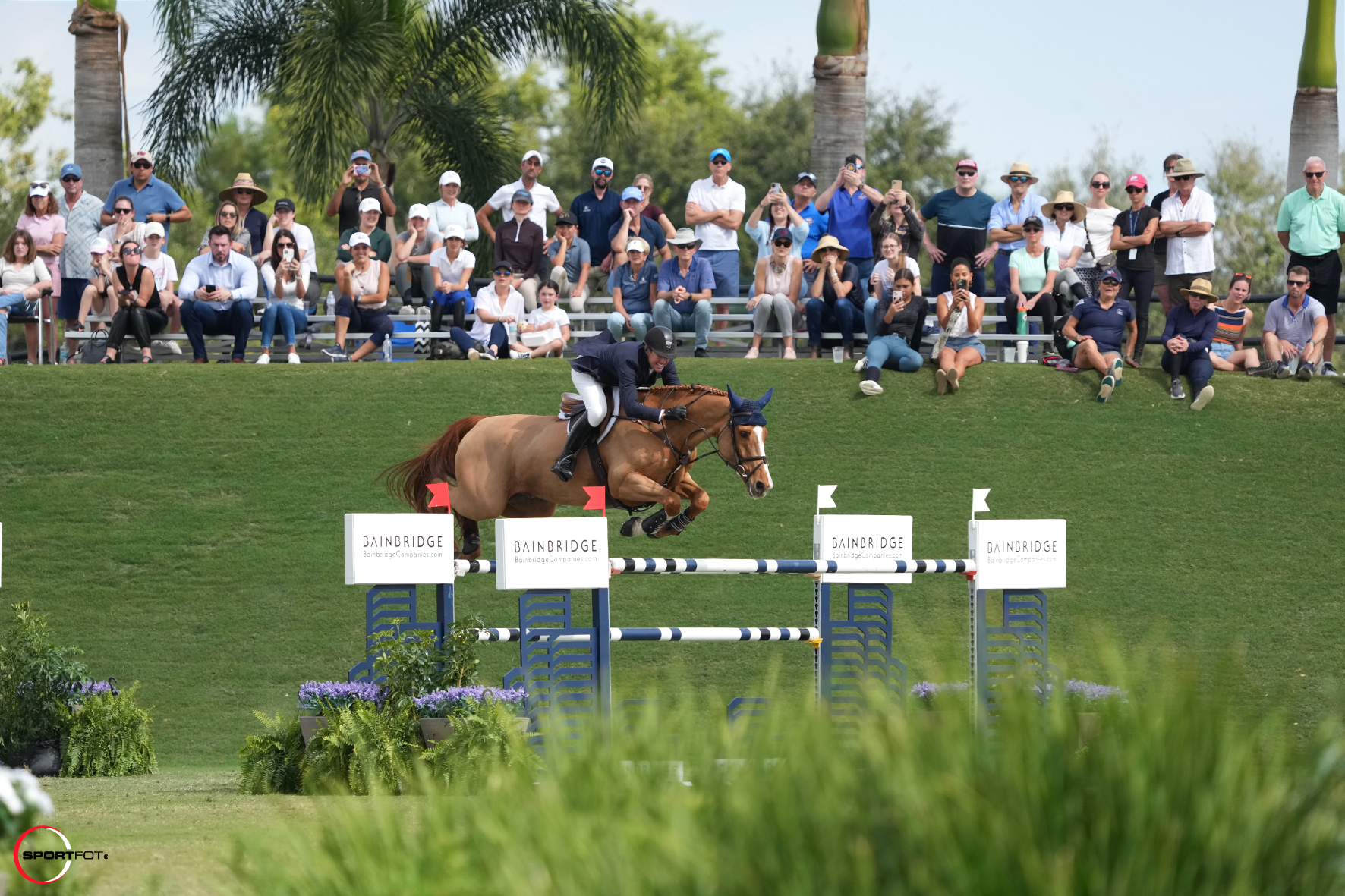 mclain ward and contagious jumping 741_8167 sportfot