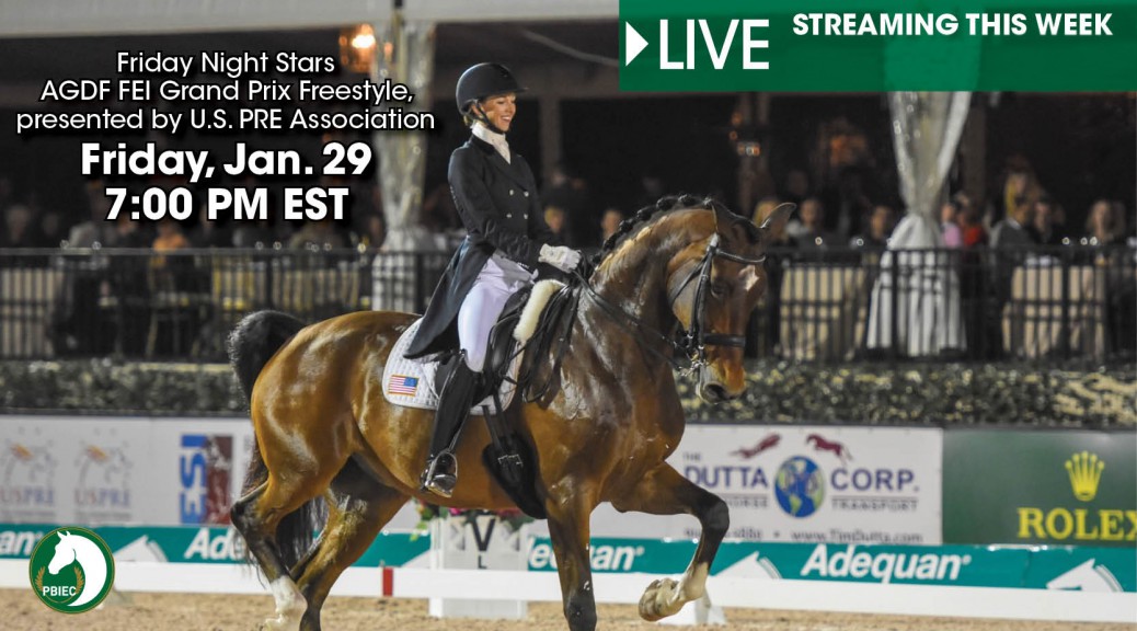 Global Dressage Festival LLC
