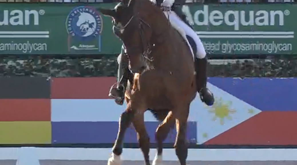 Global Dressage Festival LLC