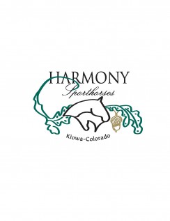 Harmony Sporthorses