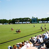 International Polo Club
