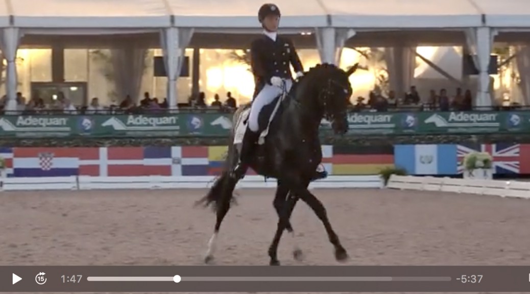 Global Dressage Festival LLC