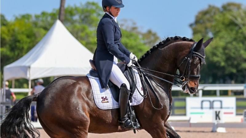 Global Dressage Festival