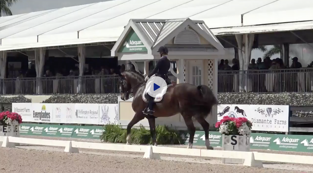 Global Dressage Festival LLC
