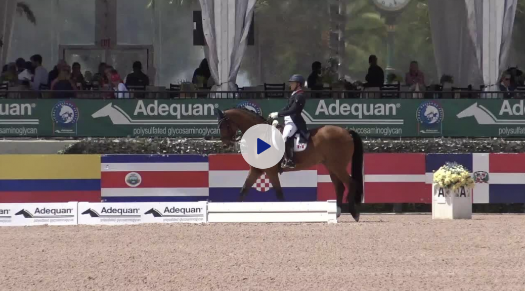 Global Dressage Festival LLC