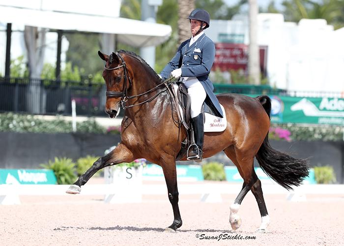 Global Dressage Festival LLC