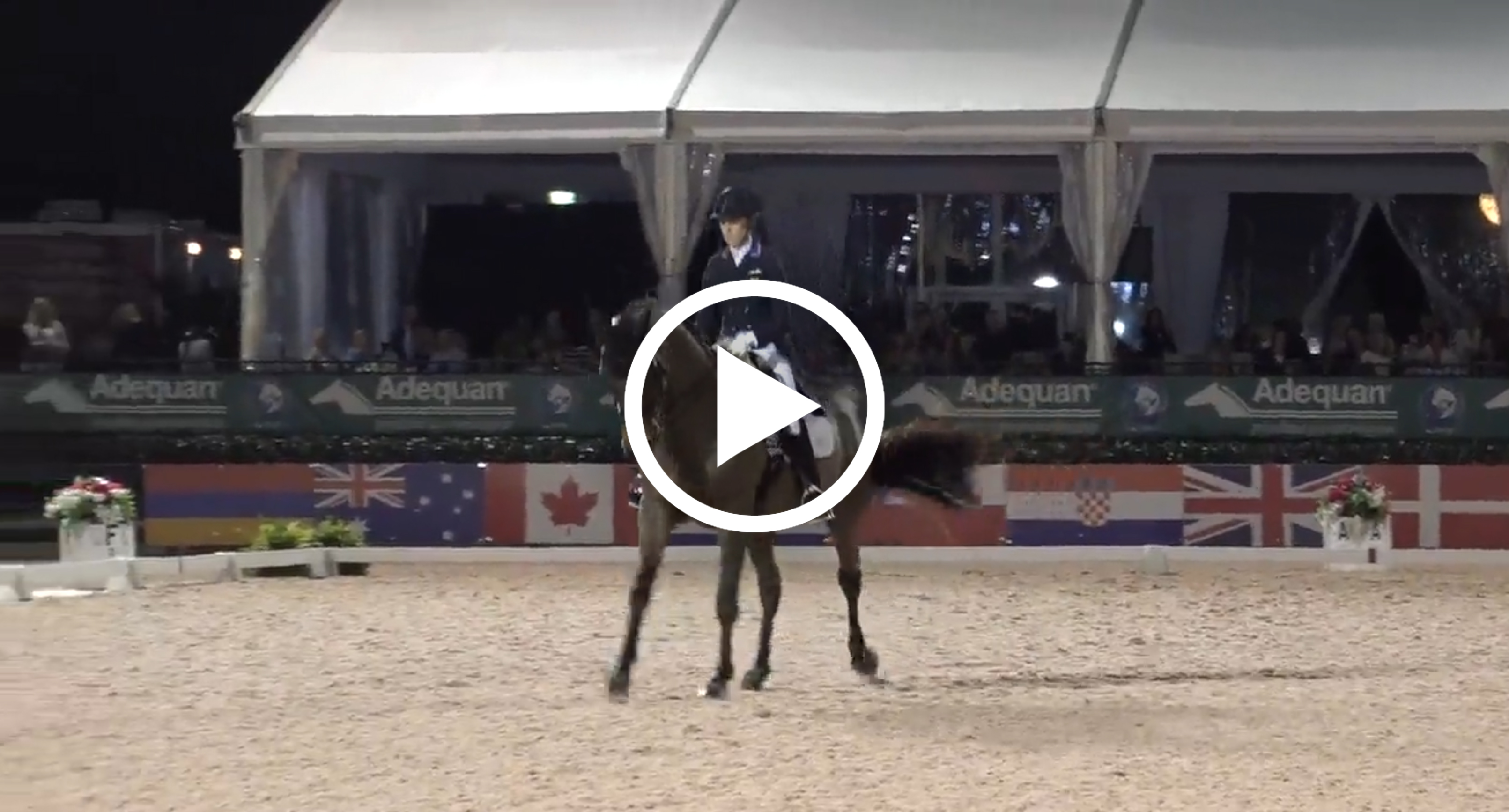 Watch Olivia LaGoy-Weltz's winning test here. Courtesy of Richard's Equine Video.