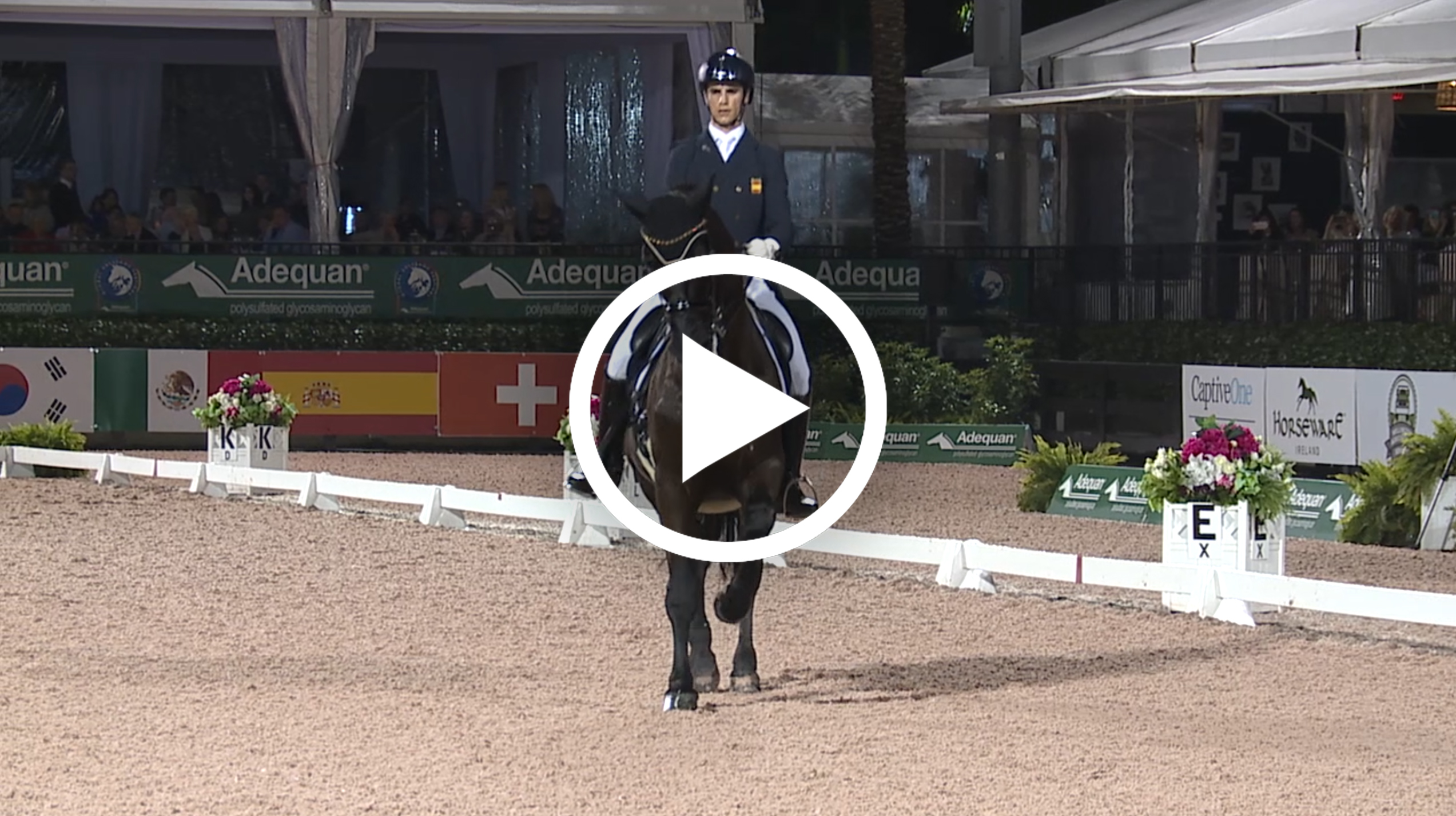 Watch Juan Matute Guimon's test here. Courtesy of Richard's Equine Video.