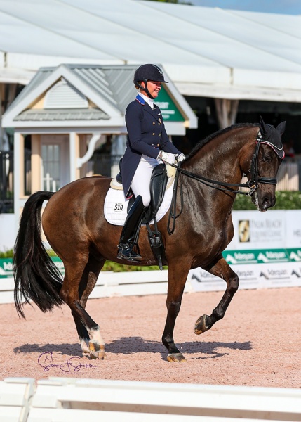 Katherine Bateson Chandler (USA) and the 15-year-old Alcazar are unbeatable in the FEI Grand Prix CDI5*, presented by Captiveone Advisors, winning on 71.935%. ©️Susan Stickle.