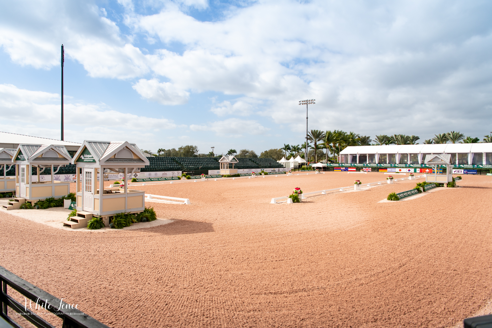 Global Dressage Festival LLC