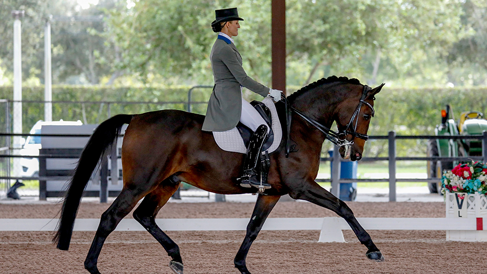 Global Dressage Festival LLC