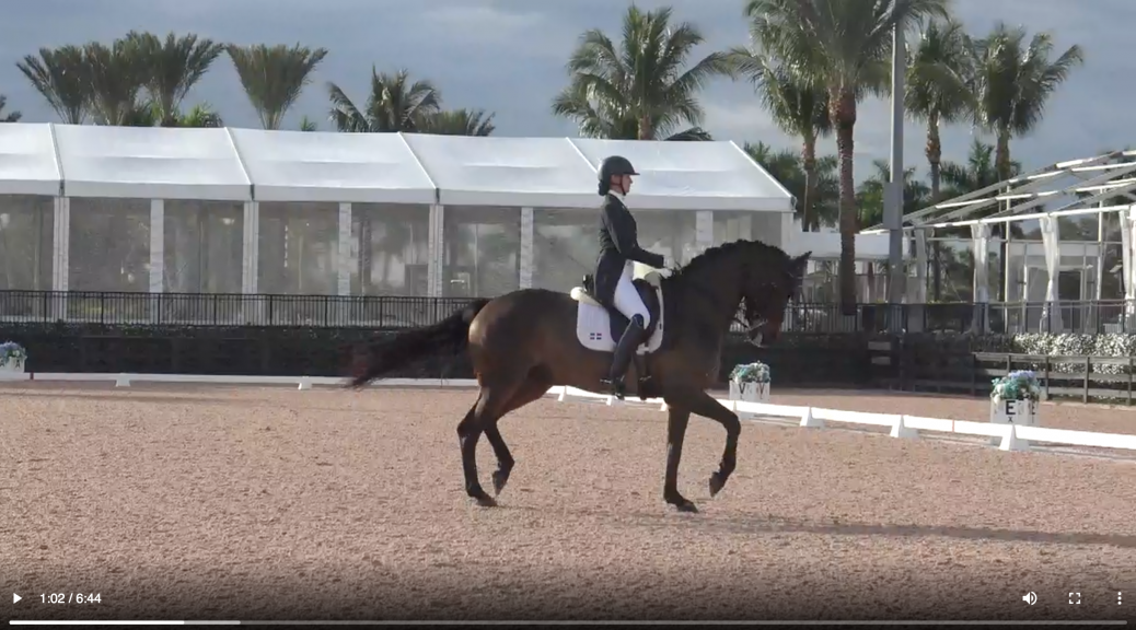 Global Dressage Festival LLC