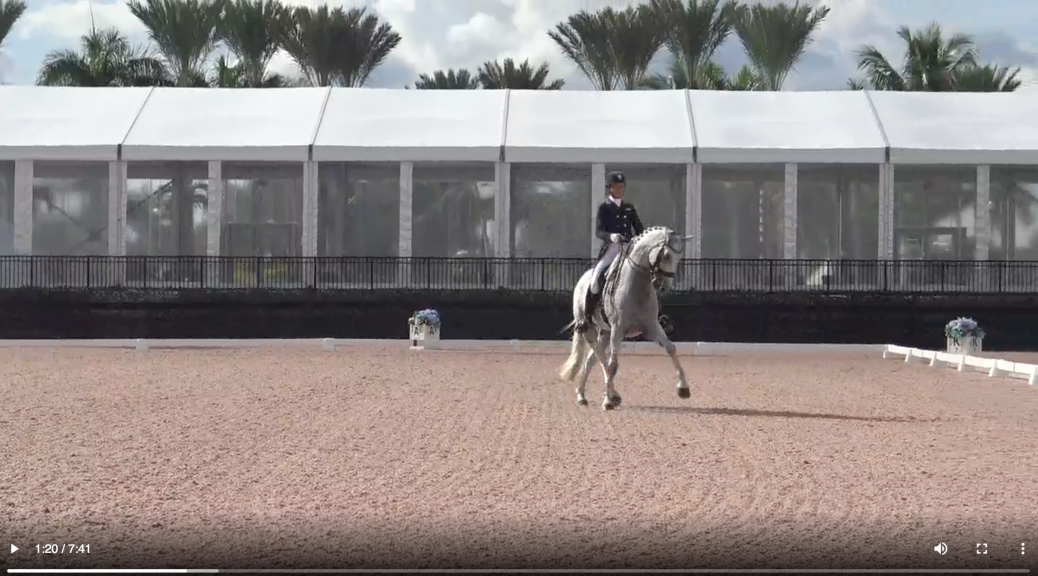 Global Dressage Festival LLC