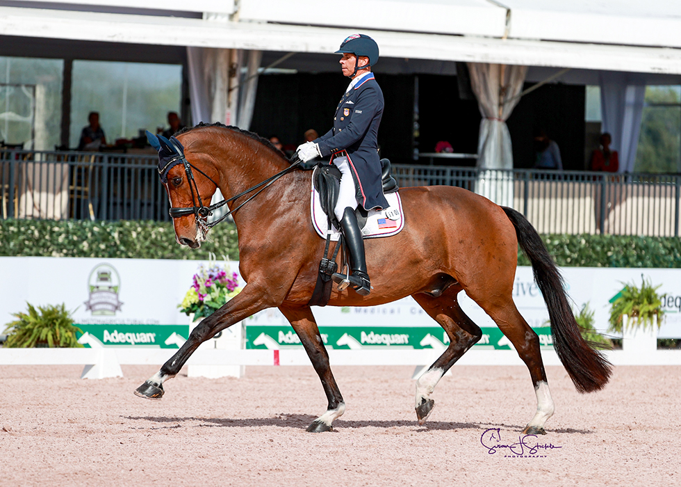 Global Dressage Festival LLC