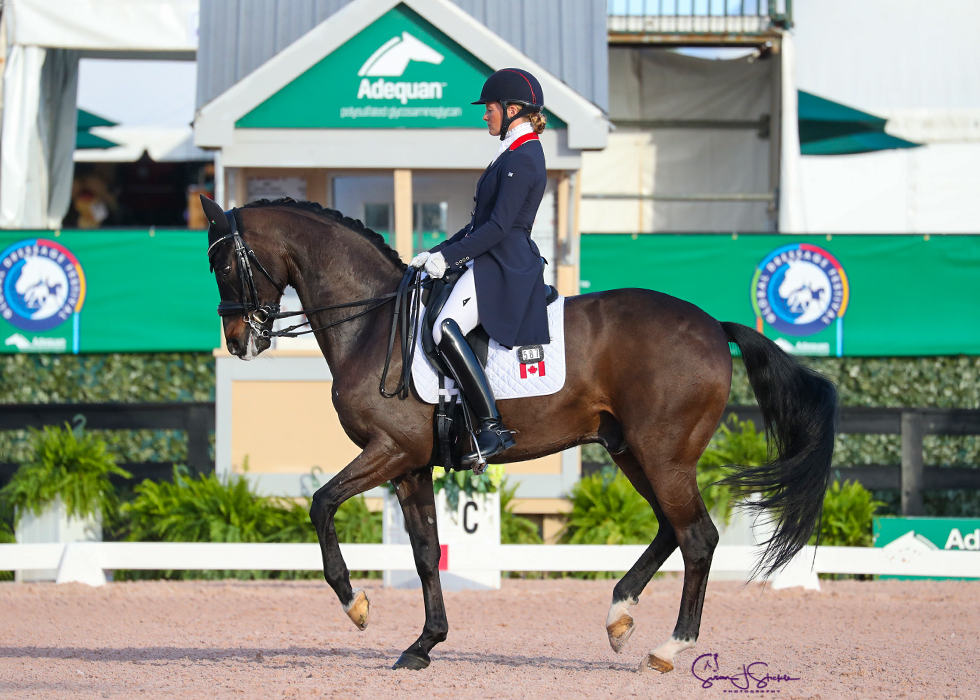 Lindsay Kellock and Sebastien.521G5584©susanjstickle.com.