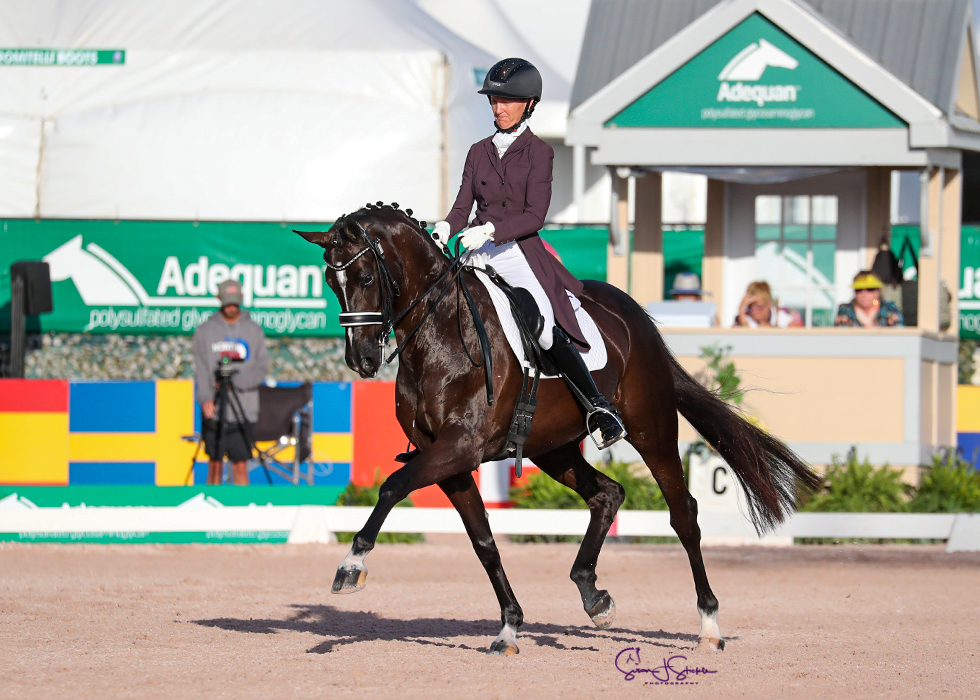 Global Dressage Festival LLC