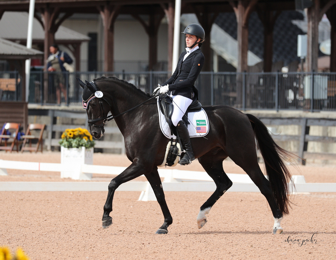 Global Dressage Festival LLC