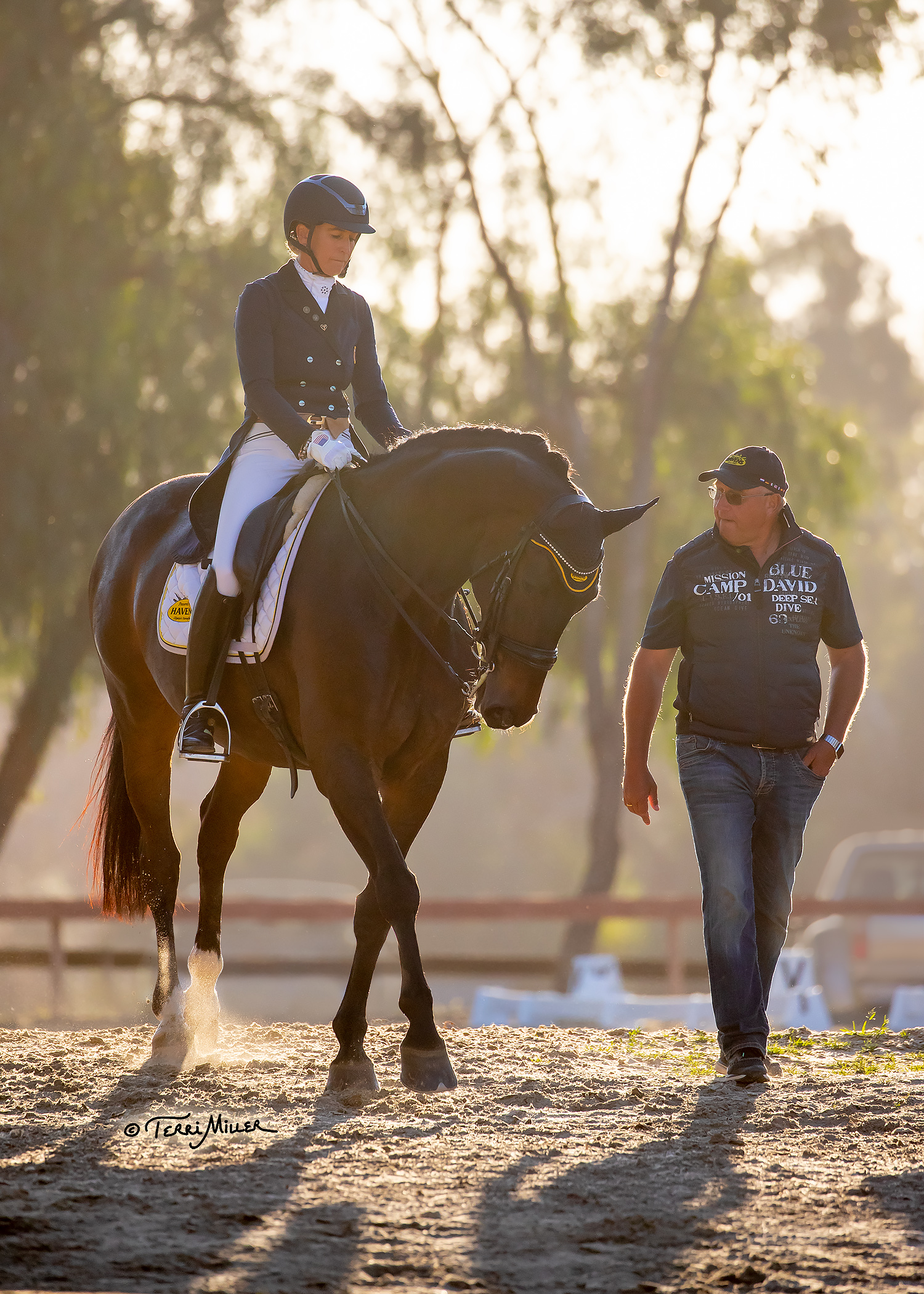 Global Dressage Festival LLC