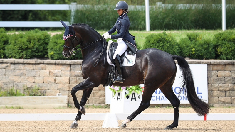 Global Dressage Festival LLC