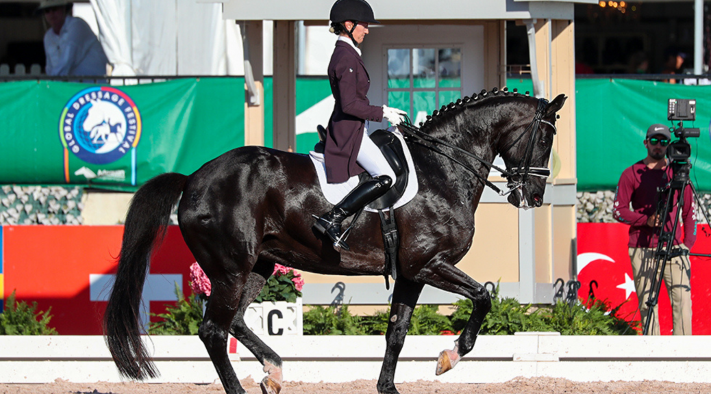 Global Dressage Festival LLC