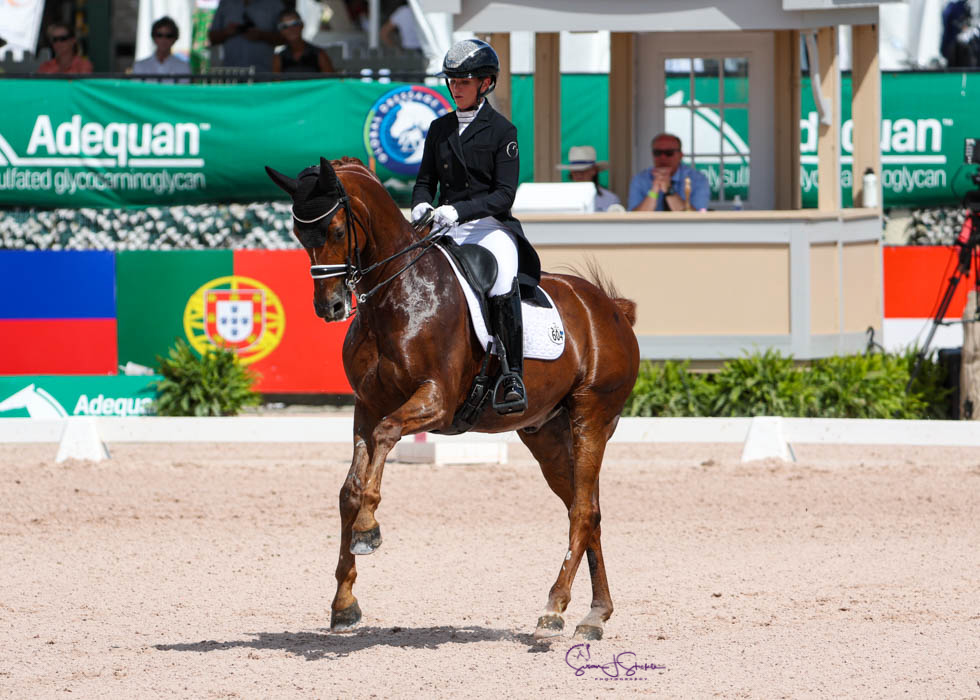 Global Dressage Festival LLC