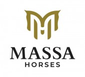 Massa Horses