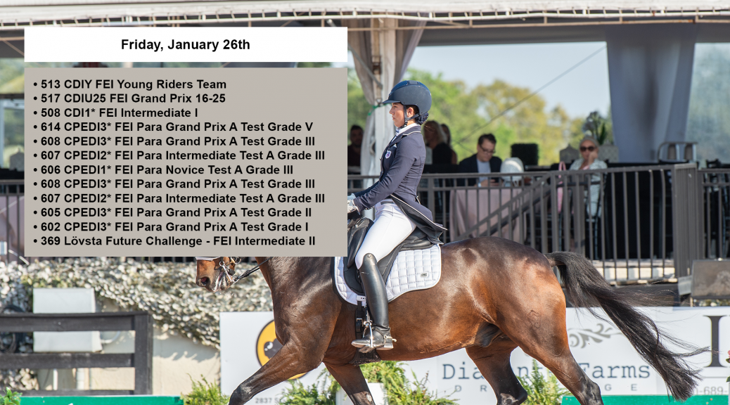 Global Dressage Festival LLC